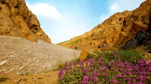 Mountaineers Climbing Alamkuh via Hesarchal