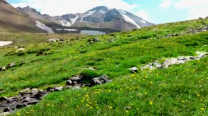 Hesarchal Scenic View